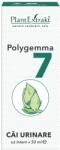 PlantExtrakt Polygemma 7 Cai Urinare 50 ml