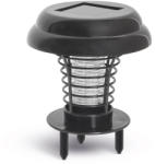 Garden of Eden 55667