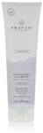 Paul Mitchell Awapuhi Wild Ginger Hydrasoft Shampoo 250 ml sampon száraz haj uniszex