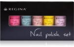 Regina Pastel set de lacuri de unghii mai multe nuanțe 113, 143, 57, 144, 145 5x4 ml