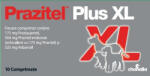 Chanelle Prazitel Plus XL - 10 comprimate