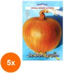 Raci Sementi Set 5 x Seminte de Ceapa Aurie, Dorata di Bologna, 5 g, Raci Sementi (RDA-5xADS-181)