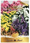 Raci Sementi Seminte Flori, Saraturica, Statice Grandi Fiori, Amestec Multicolor, 0.5 g (ADS-848)