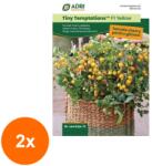Adrisem Set 2 x Seminte de Rosii Cherry Galbene, Cultivare la Ghiveci, 12 Boabe (RDA-2xADS-855)