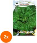 Raci Sementi Set 2 x Seminte de Spanac, Matador, 1 kg, Raci Sementi (RDA-2xADS-203)