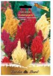 Raci Sementi Seminte Flori, Creasta Cocosului, Amestec Multicolor, Raci Sementi (ADS-884)