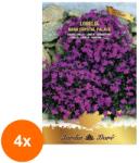 Raci Sementi Set 4 x Seminte Lobelia Crystal Palace, 0.3 g, Raci Sementi (RDA-4xADS-843)