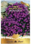 Raci Sementi Seminte Lobelia Crystal Palace, 0.3 g, Raci Sementi (ADS-843)