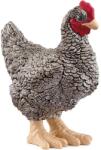 Schleich Schleich: Plymouth Rock csirke figura (13997) (SLH13997) - innotechshop