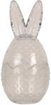 Clayre & Eef Ou decorativ Paste sticla transparenta 8x17 cm (6GL4390)