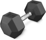4FIZJO Ganteră din oțel HEX 15 kg (1 Bucată)