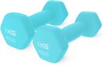 4FIZJO Haltere clasice 2 x 1 kg