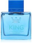 Antonio Banderas King of Seduction Summerland EDT 100 ml Parfum