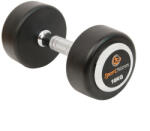 Sportmann Gantera cauciucata 10kg (SM1047)