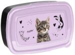 PASO Cicás műanyag uzsonnás doboz - fekete, lila (PP25CE-3022) (PP25CE-3022)