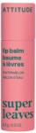 ATTITUDE Super Leaves, dinnye illat, 8, 5 g