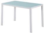 Leziter Ezra 120 cm szögletes üveg étkezőasztal fehér (LUAV120W) - arkibau