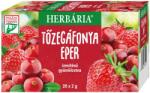 Herbária Ceai de fructe cu aromă de căpșuni și merișoare, porționat (20 buc)