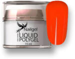  Liquid Polygel - FLASHPOP JAZZ - 15 ml