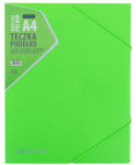 ASTRA Füzetbox ASTRA PP neonline A/4 vegyes színekben (VL_2647495395)