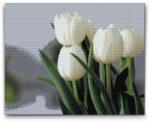  Gyémántszemes kirakó - Fehér tulipánok Méret: 40x50cm, Keretezés: Kartonlemezen, Gyémántok: Kerek
