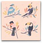  Festés számok szerint - Illusztráció - Papagájok Méret: 50x50cm, Keretezés: Műanyagtáblával