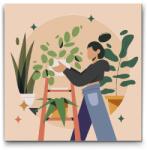 Festés számok szerint - Illusztráció - Szobanövények 1 Méret: 30x30cm, Keretezés: Keret nélkül (csak a vászon)