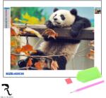 Rila Crafts Set de broderie cu diamante 5D Rila Crafts - Panda, 30x40 cm