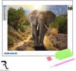 Rila Crafts Set de broderie cu diamante 5D Rila Crafts - Elefant, 30x40 cm