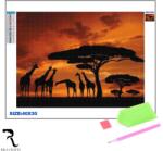 Rila Crafts Set de broderie cu diamante 5D Rila Crafts - Savana, 30x40 cm