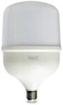 Well Bec LED T140 E27 50W 230V lumina rece 6500K 5500lm Well (LEDLC-T14050E27-E-WL)