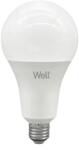Well Bec LED A95 E27 24W 230V lumina rece 6500K 2650lm Well (LEDLC-A9524E27-E-WL)