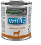 Vet Life Convalescence 12x300 g