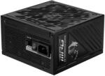MSI A850GS 80 PLUS Gold (306-7ZPFZ11-CE0)