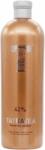 TATRATEA Peach Tea 0,7 l 42%