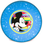 Disney Mickey egeres, műanyag mélytányér