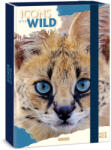 Ars Una Máté Bence Icons of the Wild-Serval A/4 füzetbox (50855032)