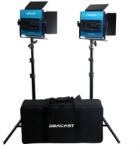 Dracast Kit Iluminare Dracast LED500 X Series Bi-Color 2 Lampi cu Geanta Nylon