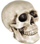 TifanTEX Pușculiță Craniu, bărbat (Pușculiță Craniu, ornament pentru) (5642E8)