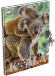 T-Creativ Koala macik emlékkönyv lakattal - sima lapokkal - A5 (TC25-A17901000-943335-KOALA)