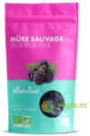 BIOFRUISEC Mure Salbatice din Alpii Dinarici Ecologice/Bio 100g