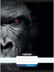 Nebulo Nebulo: Tűzött kockás gorilla mintás füzet 87-32 A/4 (NR-XM-A4-12347810) - innotechshop