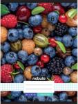 Nebulo Nebulo: Tűzött kockás gyümölcsös mintás füzet 87-32 A/4 (NR-LD-A4-20250208) - innotechshop