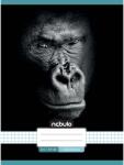 Nebulo Nebulo: Tűzött kockás füzet gorilla mintás 87-32 A/4 (NR-AM-A4-12348138) - innotechshop