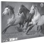 T-Creativ One Color vázlatfüzet - B4 - lovas (TC25-A2900112B4-944387-1LOVAS)