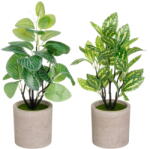 Casa Selección Plante artificiale 2 buc. (înălțime 28 cm) - Casa Selección