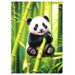 T-Creativ Pandás gumis mappa - A4 (IMO-SP-559729PANDA)