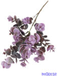  Eukaliptusz ág 50cm - Lila