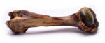 SANADOG SANADOG Szarvasváll csont small 1db (659-002)