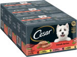 Cesar 24x150g Cesar klasszikus terrine nedves kutyatáp vegyesen